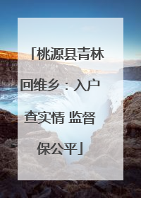 桃源县青林回维乡：入户查实情 监督保公平
