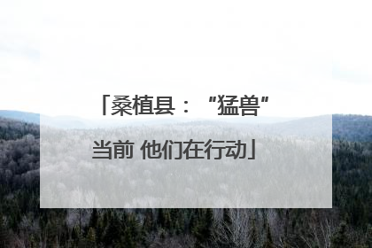 桑植县：“猛兽”当前 他们在行动