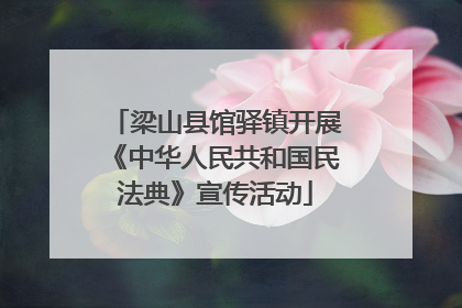 梁山县馆驿镇开展《中华人民共和国民法典》宣传活动