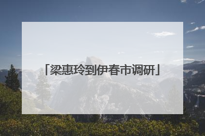 梁惠玲到伊春市调研
