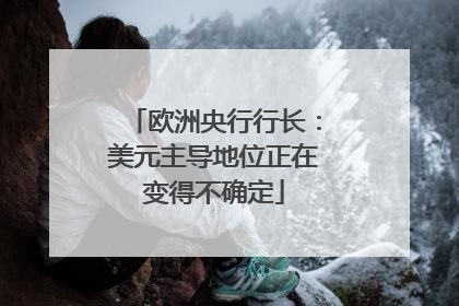欧洲央行行长：美元主导地位正在变得不确定