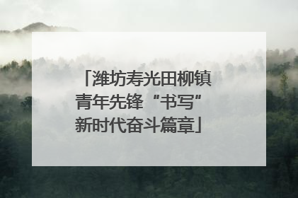 潍坊寿光田柳镇青年先锋“书写”新时代奋斗篇章