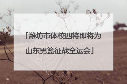 潍坊市体校四将即将为山东男篮征战全运会