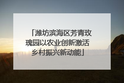 潍坊滨海区芳青玫瑰园以农业创新激活乡村振兴新动能