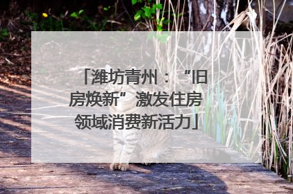 潍坊青州：“旧房焕新”激发住房领域消费新活力
