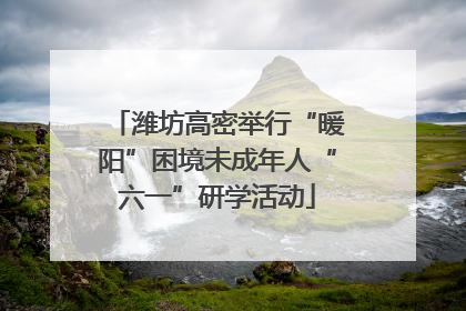 潍坊高密举行“暖阳”困境未成年人“六一”研学活动