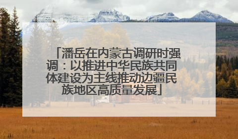 潘岳在内蒙古调研时强调：以推进中华民族共同体建设为主线推动边疆民族地区高质量发展