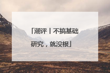 潮评丨不搞基础研究，就没根