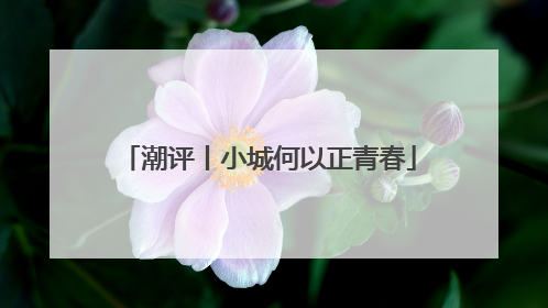 潮评丨小城何以正青春