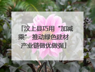 汶上县巧用“加减乘” 推动绿色建材产业链做优做强