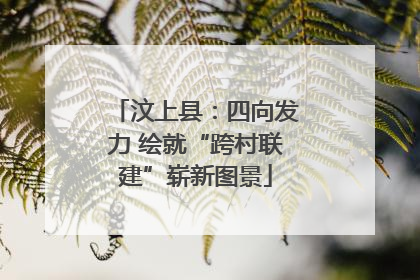 汶上县：四向发力 绘就“跨村联建”崭新图景