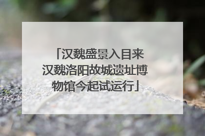 汉魏盛景入目来 汉魏洛阳故城遗址博物馆今起试运行