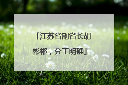 江苏省副省长胡彬郴，分工明确