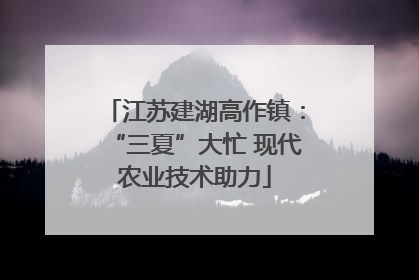 江苏建湖高作镇：“三夏”大忙 现代农业技术助力