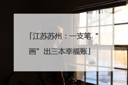 江苏苏州：一支笔“画”出三本幸福账