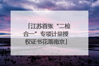 江苏首张“二检合一”专项计量授权证书花落南京