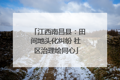 江西南昌县：田间地头化纠纷 社区治理绘同心