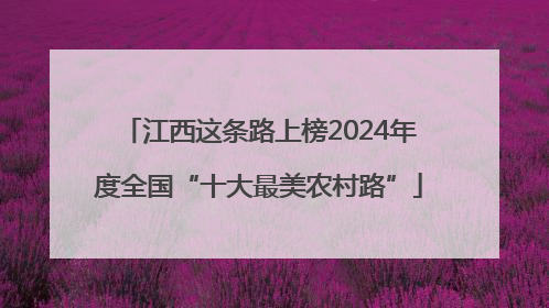 江西这条路上榜2024年度全国“十大最美农村路”