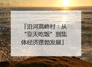 沿河高峰村：从“靠天吃饭”到集体经济蓬勃发展