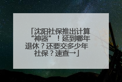 沈阳社保推出计算“神器”！延到哪年退休？还要交多少年社保？速查→