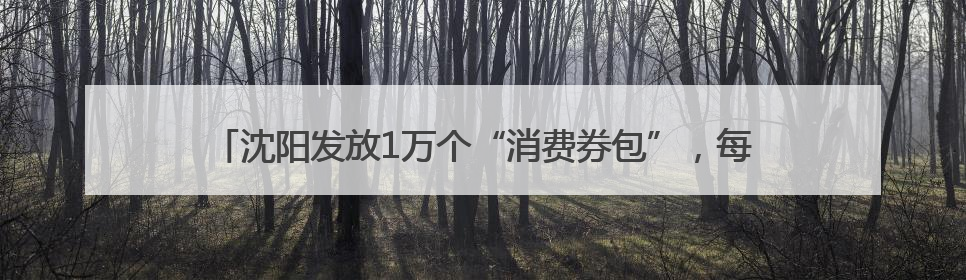 沈阳发放1万个“消费券包”，每份3张共计180元，领取方式→
