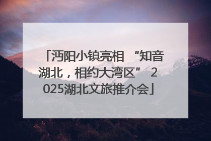 沔阳小镇亮相 “知音湖北，相约大湾区” 2025湖北文旅推介会