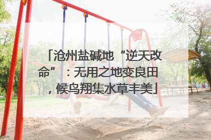 沧州盐碱地“逆天改命”：无用之地变良田，候鸟翔集水草丰美