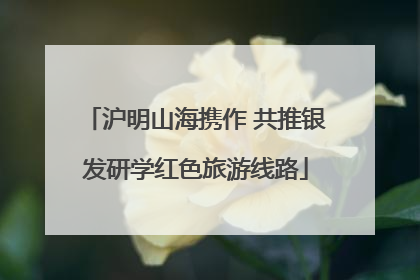 沪明山海携作 共推银发研学红色旅游线路