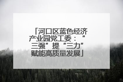 河口区蓝色经济产业园党工委：“三强”提“三力”赋能高质量发展