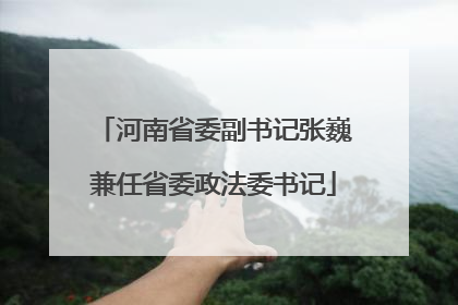 河南省委副书记张巍兼任省委政法委书记