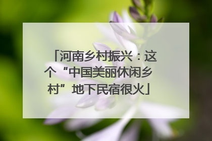 河南乡村振兴：这个“中国美丽休闲乡村”地下民宿很火