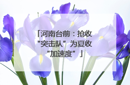 河南台前：抢收“突击队”为夏收“加速度”