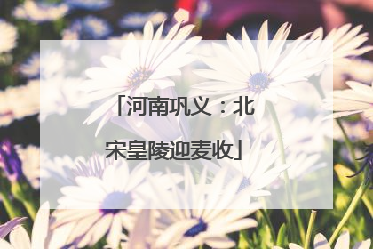 河南巩义：北宋皇陵迎麦收