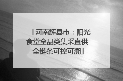 河南辉县市：阳光食堂全品类集采直供 全链条可控可溯