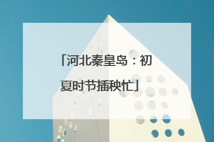 河北秦皇岛：初夏时节插秧忙