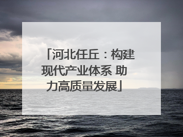 河北任丘：构建现代产业体系 助力高质量发展