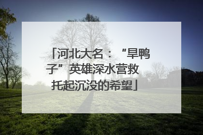 河北大名：“旱鸭子”英雄深水营救 托起沉没的希望