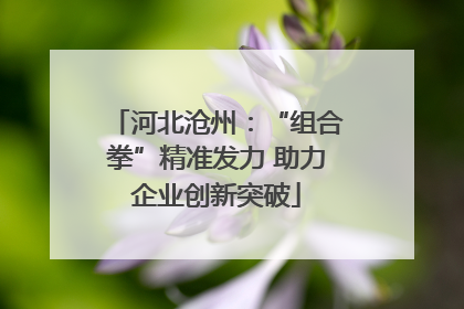 河北沧州：“组合拳”精准发力 助力企业创新突破