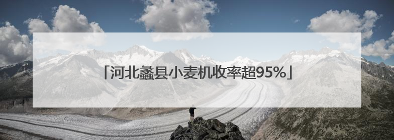 河北蠡县小麦机收率超95%