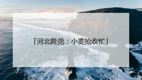 河北隆尧：小麦抢收忙