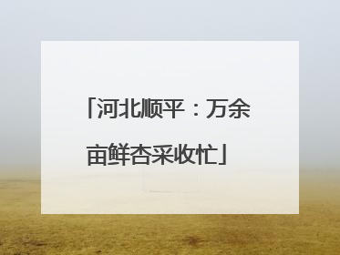 河北顺平：万余亩鲜杏采收忙