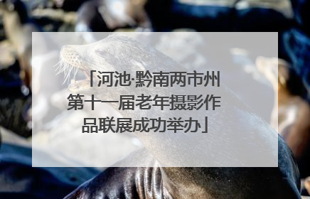 河池·黔南两市州第十一届老年摄影作品联展成功举办