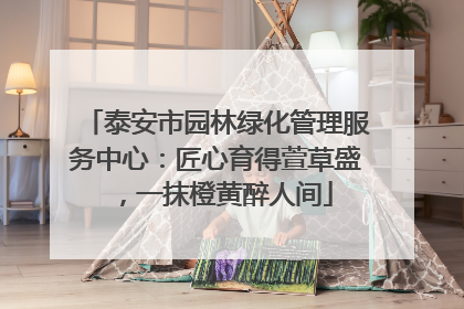泰安市园林绿化管理服务中心：匠心育得萱草盛，一抹橙黄醉人间
