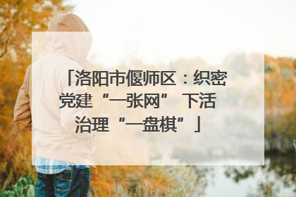 洛阳市偃师区：织密党建“一张网” 下活治理“一盘棋”