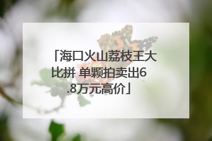 海口火山荔枝王大比拼 单颗拍卖出6.8万元高价