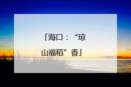 海口：“琼山福稻”香