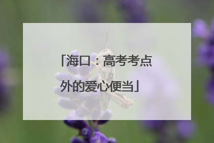 海口：高考考点外的爱心便当