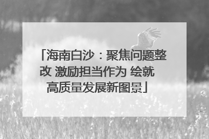 海南白沙：聚焦问题整改 激励担当作为 绘就高质量发展新图景