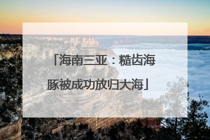 海南三亚:糙齿海豚被成功放归大海