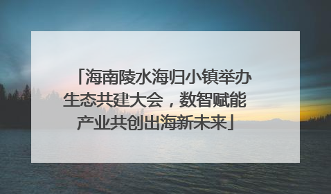 海南陵水海归小镇举办生态共建大会，数智赋能产业共创出海新未来